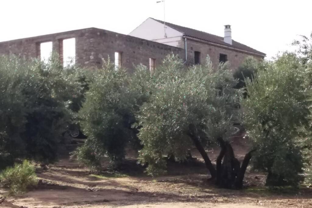 Viña Las Olivas Andújar Exterior foto