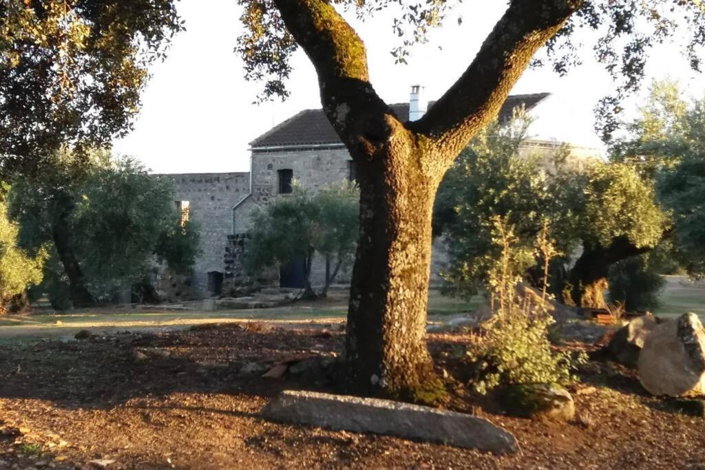Viña Las Olivas Andújar Exterior foto